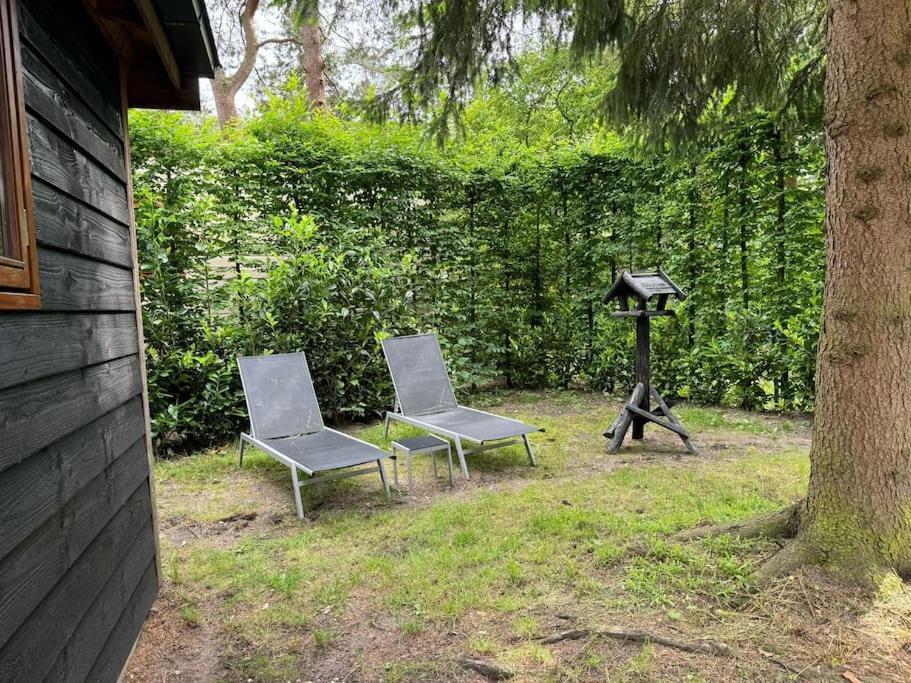 Sfeervol Chalet De Dassenburcht Emst Exteriér fotografie
